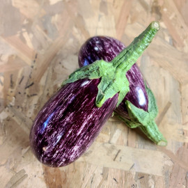 Aubergine bio