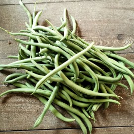 HARICOT VERT PLAT 