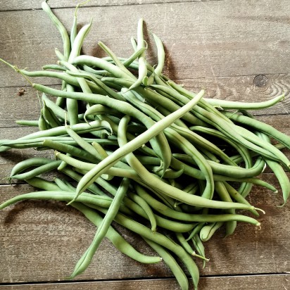 HARICOT VERT PLAT 