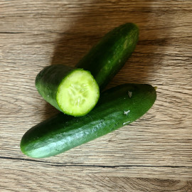 Concombre 