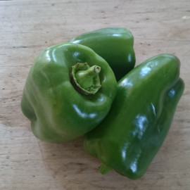 Poivrons Verts Bio