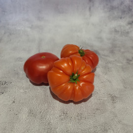 Tomate Marmande