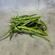HARICOT VERT FIN