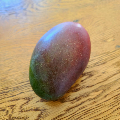 Mangue 