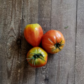 Tomate coeur de boeuf bio