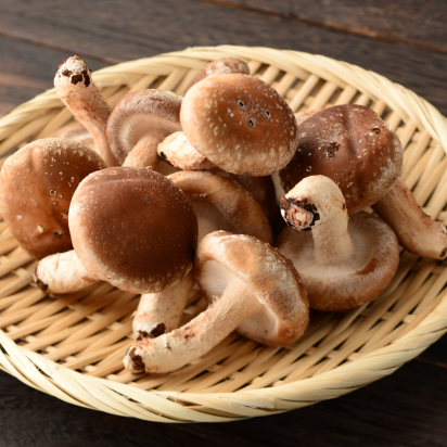 Shiitake