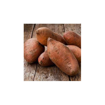 	Patate Douce - Issus de l'agriculture biologique certifiée ecocert FR BIO 01