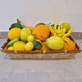 Box fruits de noêl