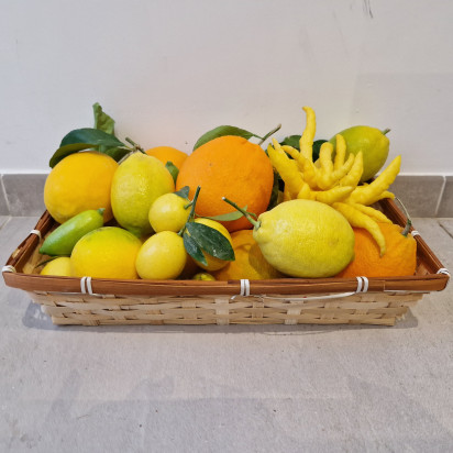 Box fruits de noêl