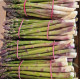 asperge verte 