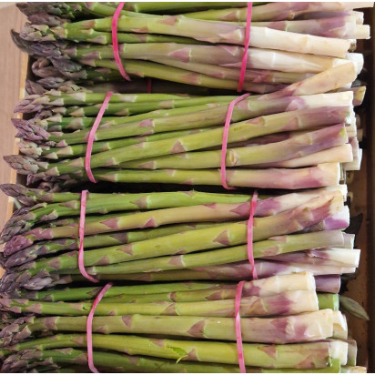 asperge verte 