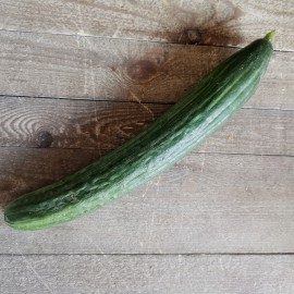 Concombre noa bio