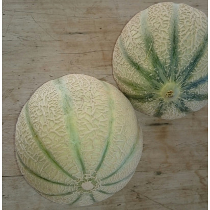 Melons charentais