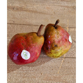 Poire williams rouge issue de l'agriculture biologique