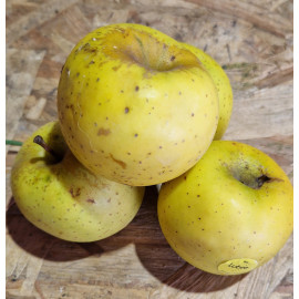 Pomme Granny smith  bio Demeter