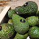 Avocat