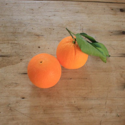 ORANGE FEUILLE en conversion vers le bio