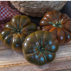 Tomate noiire