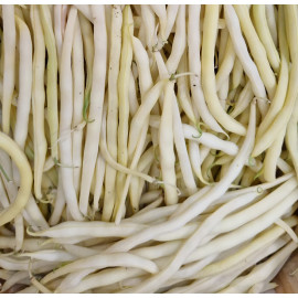 HARICOT VERT FIN