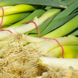 Poireaux Bio