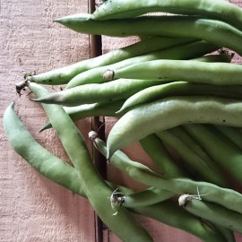 Féves Bio