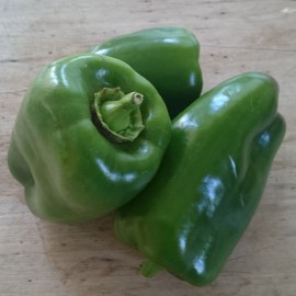 Poivrons Verts Bio ,certifiée Ecocert FR bio 01
