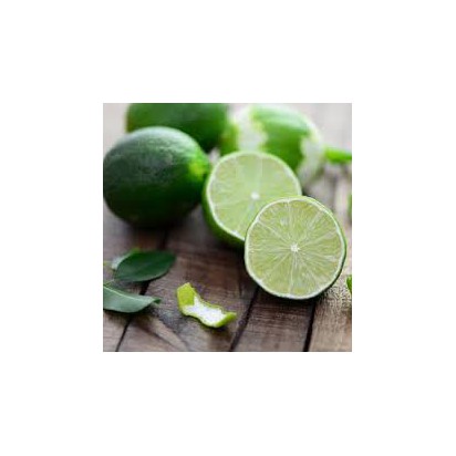 citron vert lime bio corse