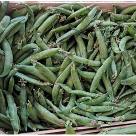 Petit pois