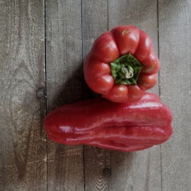 Poivrons Verts Bio