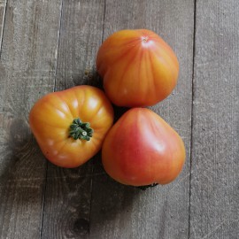 Tomate Ananas bio