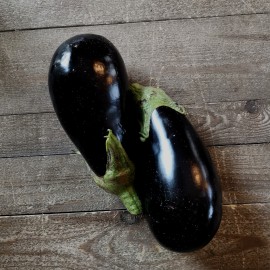 Aubergine en conversion vers l'agriculture bio