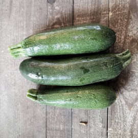 courgette bio