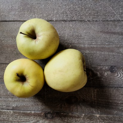 pomme golden 