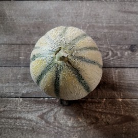 Melons charentais  BIO