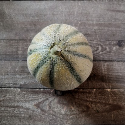 Melons charentais  BIO