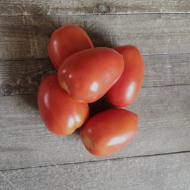 Tomate allongée - Issus de l'agriculture biologique certifiée ecocert FR BIO 01