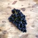 Raisin noir Prima