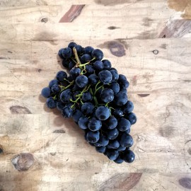 Raisin noir Prima