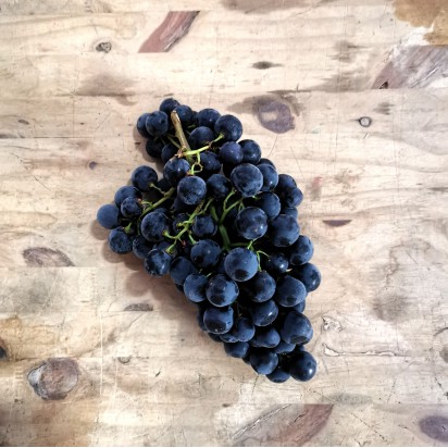 Raisin noir Prima
