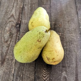 Poire issue de l'agriculture biologique