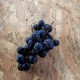 Raisin noir prisma  bio