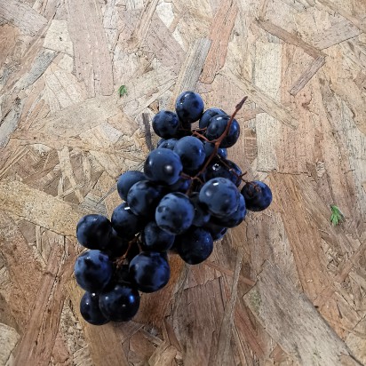 Raisin noir prisma  bio