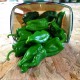 Poivrons Verts,