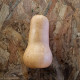 Courge potimarron