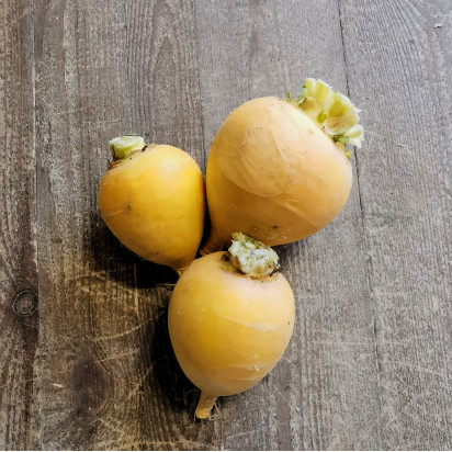 Navets longs ou rond