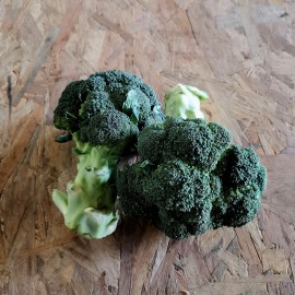 Brocoli
