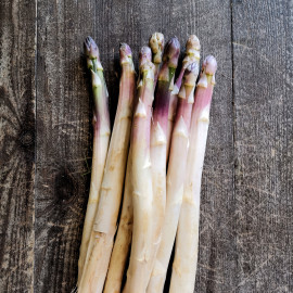 Asperges Blanches cal16 BOTTE 500GR FR PROV