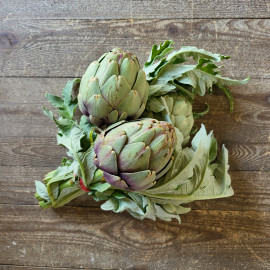 Artichaut violet de provence bouquet