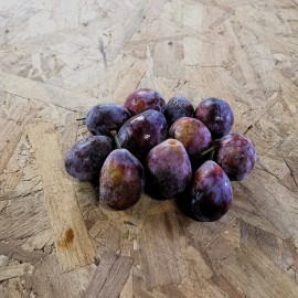 Prune Reine Claude