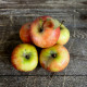 Pomme gala BIO cat2 fr